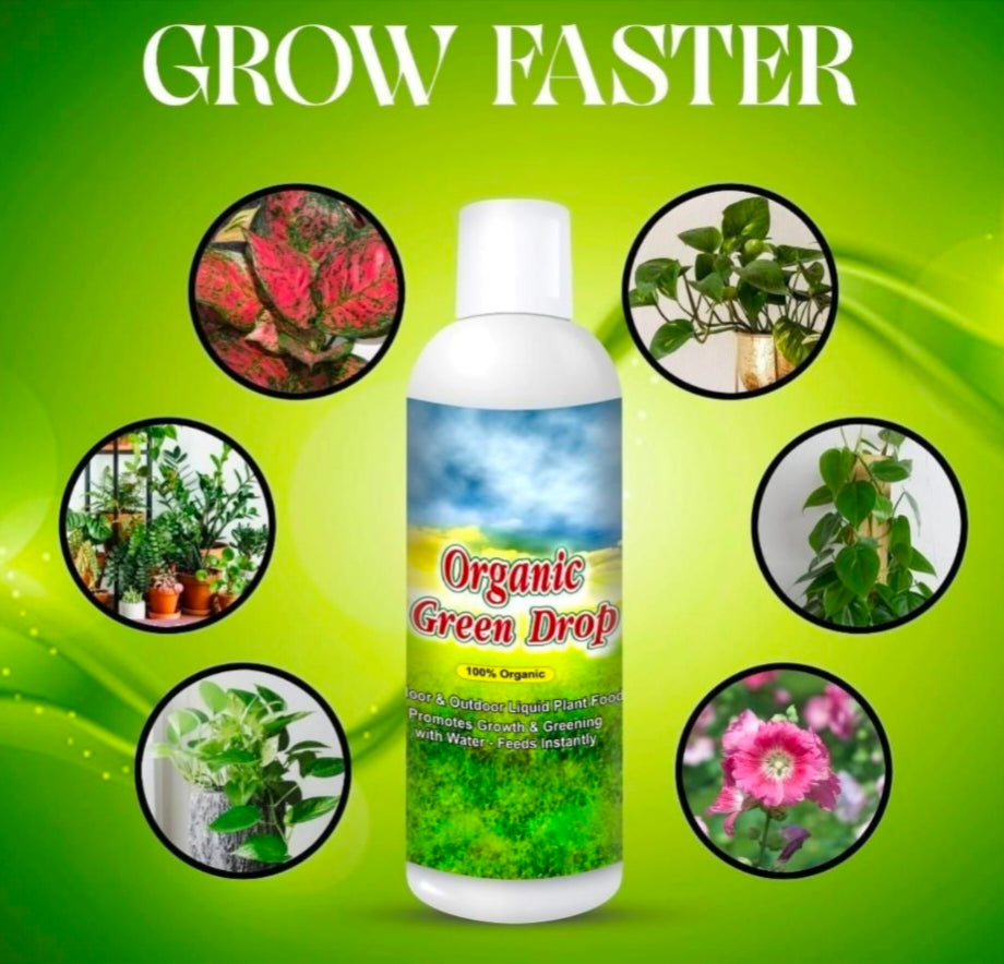Organic GreenDrop Plant Food Liquid Fertilizer For Plant Growth & Greening Pack of 1